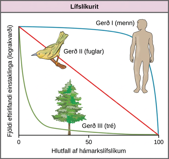 Graph plots the log of number of individuals surviving versus time. Three curves are shown, representing Type I, Type II, and Type III survivorship patterns. Birds exhibit a Type II survivorship curve, which decreases linearly with time. Humans show a Type I survivorship curve, which starts with a gentle slope that becomes increasingly steep with time. Trees show a Type III survivorship pattern, which starts with a steep slope that becomes less steep with time.