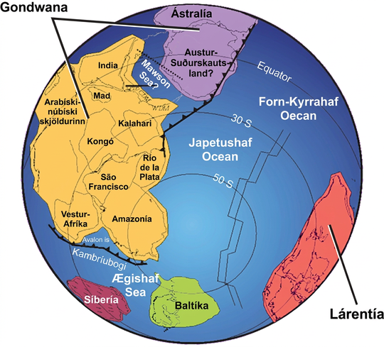 A world map shows two continents, Gondwana and Laurentia, which are shaped very differently from the continents of today. Gondwana was made up of two smaller subcontinents separated by a narrow sea. One continent contained modern Antarctica, and the other contained parts of Africa.