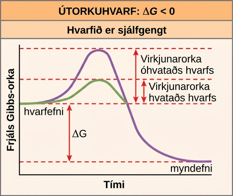 This plot shows the activation energy for an exergonic reaction. As the reaction proceeds, energy initially increases to overcome the activation energy. In a catalyzed reaction, the activation energy is much lower. The energy then decreases such that the Gibbs free energy of the products is less than that of the reactants. The activation energy is the peak of the energy plot minus the energy of the reactants. The Gibbs free energy (delta G) is the energy of the products minus the energy of the reactants.
