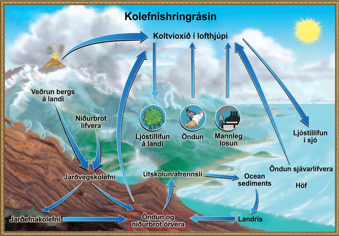 The illustration shows the carbon cycle. Carbon enters the atmosphere as carbon dioxide gas that is released from human emissions, respiration and decomposition, and volcanic emissions. Carbon dioxide is removed from the atmosphere by marine and terrestrial photosynthesis. Carbon from the weathering of rocks and decomposition of organisms becomes soil carbon, which over time can become fossil carbon. Carbon enters the ocean from land via leaching and runoff. Uplifting of ocean sediments can return carbon to land.