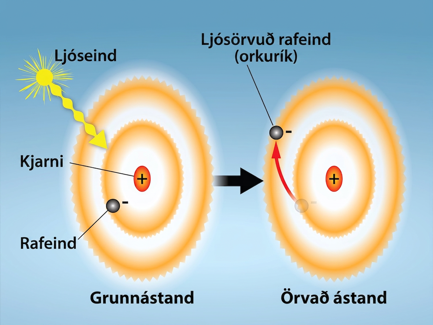 A ground state atom is depicted with an electron in an inner shell. A photon is pictured hitting the atom. The result is pictured as an excited state atom. The electron has moved to an outer shell.