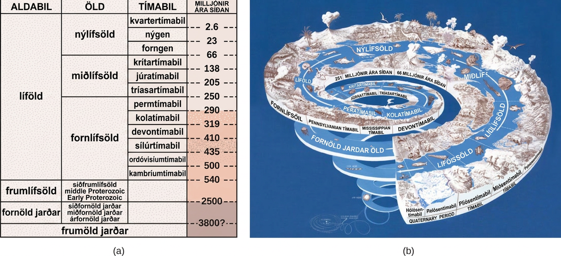 Table A describes eras in earth's history associated with evolution of plant groups. In the first column earth's history is divided into four eons, the Pre Archean- Hadean, Archaean, Proterozoic, Phanerozoic. The oldest eon, the Pre Archean, spans the beginning of earth's history to about 3.8 billion years ago. The Archean eon spans 2.5 to 3.8 billion years ago, and the Proterozoic spans 540 million to 2.5 billion years ago. The second column lists the eras within each eon. The Phanerozoic eon, from 540 million years ago to present time, is sub divided into the Paleozoic, Mesozoic and Cenozoic eras. The third column lists the periods within each. The Paleozoic era, from 250 to 540 million years ago, is further divided into seven periods: the Cambrian from 500 to 540 million years ago, the Ordovician from 435 to 500 million years ago, the Silurian from 410 to 435 million years ago, the Devonian from 319 to 410 million years ago, the Carboniferous from 290 to 290 million years ago, and the Permian from 250 to 290 million years ago. The Mesozoic era, from 66 to 250 million years ago, is divided into three periods, the Triassic from 205 to 250 million years ago, the Jurassic from 138 to 205 million years ago, and the Cretaceous, from 66 to 138 million years ago. The Cenozoic era, from 66 million years ago to modern times, is divided into three eras, the Paleogene from 23 to 66 million years ago, Neogene from 2.6 to 23 million years ago, and the Quaternary from present to 2.8 million years. The last column indicates the time periods in millions of years. Illustration B shows geological periods in a spiral starting with the beginning of earth's history at the bottom and ending with modern times at the top. The diversity and complexity of life increases toward the top of the spiral.