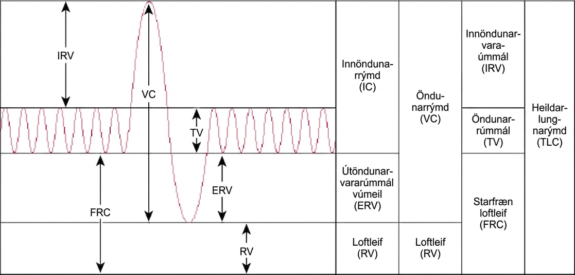 The chart shows the exchange of air during inhalation and exhalation, which resembles a wave pattern. During normal breathing, only about eight percent of air in the lungs is exchanged, and the amount of air in the lungs is one-half the total lung capacity. When a person breathes in deeply, total lung capacity is attained. The amount of air taken in is called the inspiratory capacity. Forceful exhalation results in expulsion of the expiratory reserve volume. A residual volume of air of about eight percent is left in the lungs. The vital capacity is the difference between the total lung capacity and the residual volume. The inspiratory reserve volume is the difference between the total lung capacity and the amount of air in the lungs after taking a normal breath. The functional residual capacity is the amount of air in the lungs after normal exhalation.