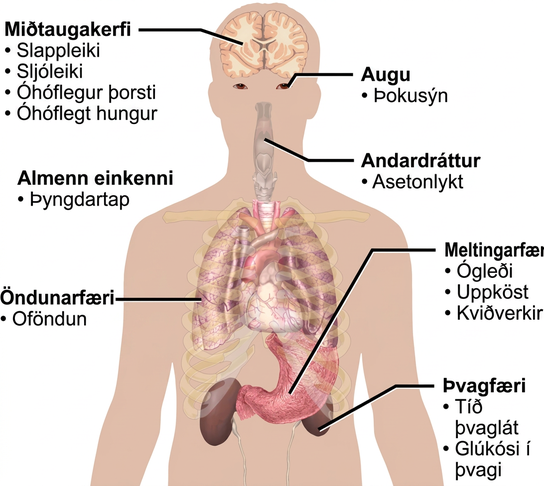 Symptoms of diabetes that affect the central nervous system include excessive thirst, excessive hunger, lethargy and stupor. It affects the eyes via blurred vision. A systemic issue is weight loss. It causes breath that smells like acetone, and affects the respiratory system through hyperventilation. Some of the gastric issues caused are nausea, vomiting, and abdominal pain. The urinary issues caused include frequent urination, and glucose in the urine.