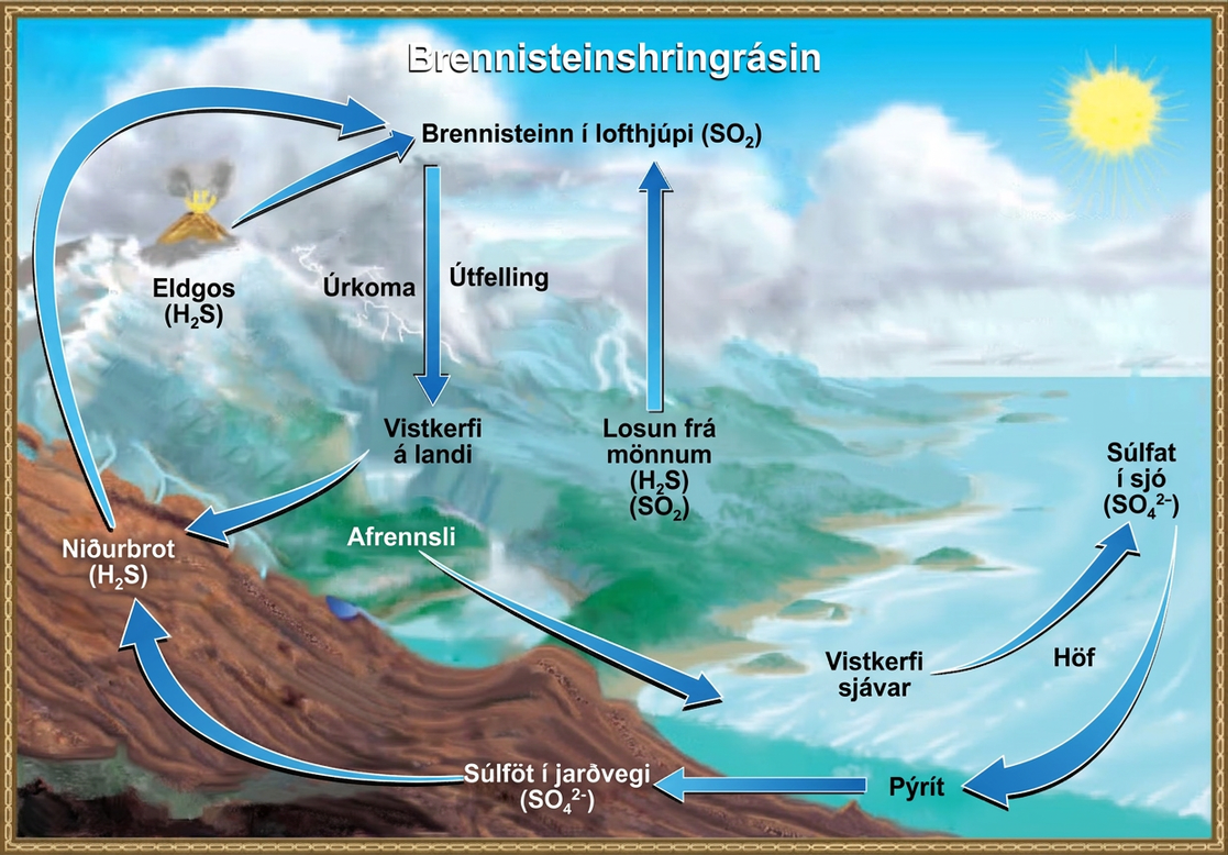 This illustration shows the sulfur cycle. Sulfur enters the atmosphere as sulfur dioxide, or upper S upper O 2, via human emissions, decomposition of upper H 2 upper S, and volcanic eruptions. Precipitation and fallout from the atmosphere return sulfur to the Earth, where it enters terrestrial ecosystems. Sulfur enters the oceans via runoff, where it becomes incorporated in marine ecosystems. Some marine sulfur becomes pyrite, which is trapped in sediment. If upwelling occurs, the pyrite enters the soil and is converted to soil sulfates.