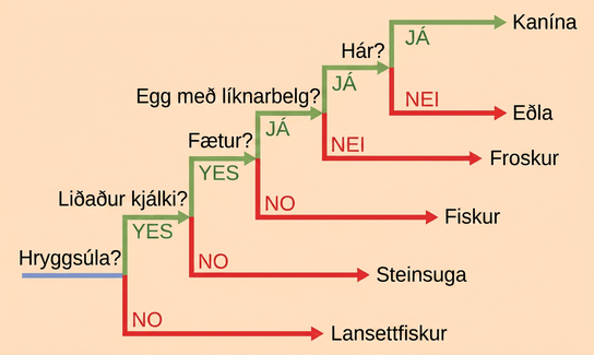 The ladder-like phylogenetic tree starts with a trunk at the left. A question next to the trunk asks whether a vertebral column is present. If the answer is no, a branch leads downward to lancelet. If the answer is yes, a branch leads upward to another question: is a hinged jaw present? If the answer is no, a branch leads downward to lamprey. If the answer is yes, a branch leads upward to another question: are legs present? If the answer is no, a branch leads downward to fish. If the answer is yes, a branch leads upward to another question: does the egg have amnion? If the answer is no, the branch leads downward to frog. If the answer is yes, the branch leads upward to another question: is hair present? If the answer is no, the branch leads downward to lizard. If the answer is yes, the branch leads upward to rabbit.