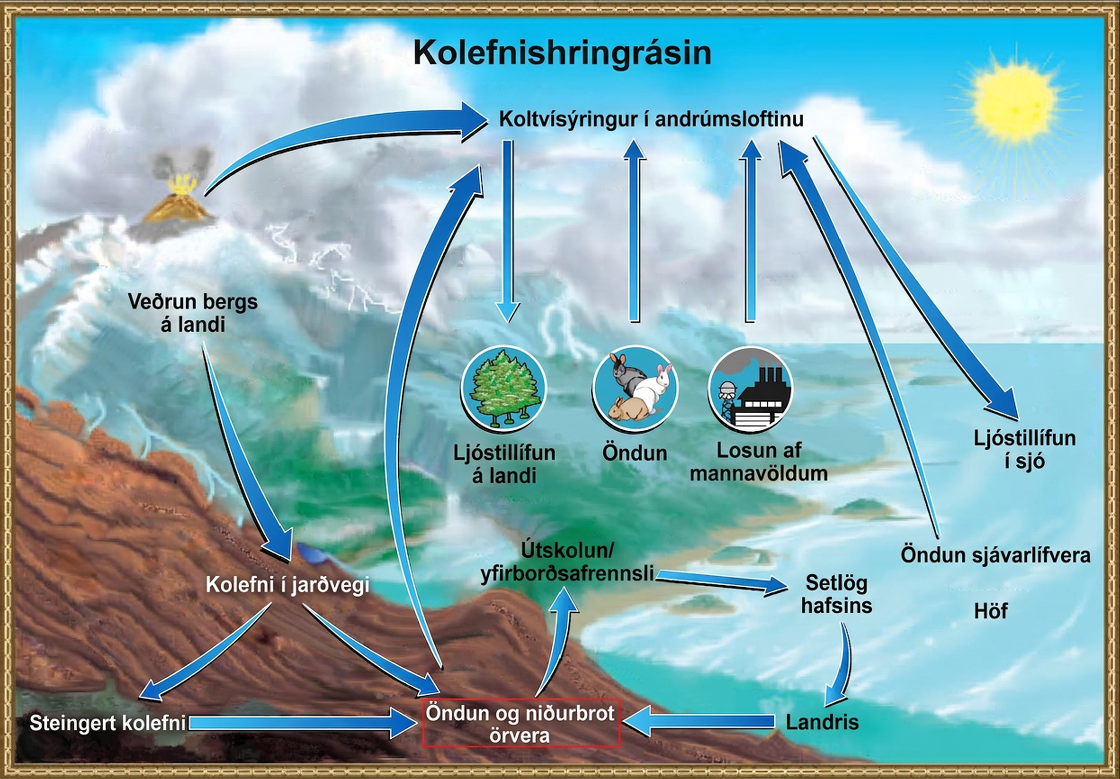 Skýringarmynd af kolefnishringrásinni sýnir kolefnisflæði milli andrúmslofts, plantna, dýra, sundrenda, jarðvegs, vatns, setlaga, bergs og jarðefnaeldsneytis.