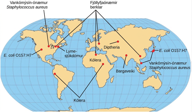 Emerging or re-emerging bacterial diseases are shown on a world map. Multidrug resistant tuberculosis is emerging in North America, Europe, north Africa, and Asia. Vancomycin resistant Staphylococcus aureus and E coli O 1 5 7 colon H 7 are emerging in North America and East Asia. Lyme disease is spreading in North America. Cholera is emerging in Africa and South America. Diptheria and typhoid fever are re emerging in Asia.