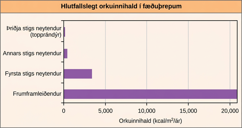 Graph shows energy content in different trophic levels. The energy content of primary producers is over 20,000 kilocalories per meter squared per year. The energy content of primary consumers is much smaller, about 3,400 kilocalories per meter squared per year. The energy content of secondary consumers is 383 kilocalories per meter squared per year, and the energy content of tertiary consumers is only 21 kilocalories per meter squared per year.