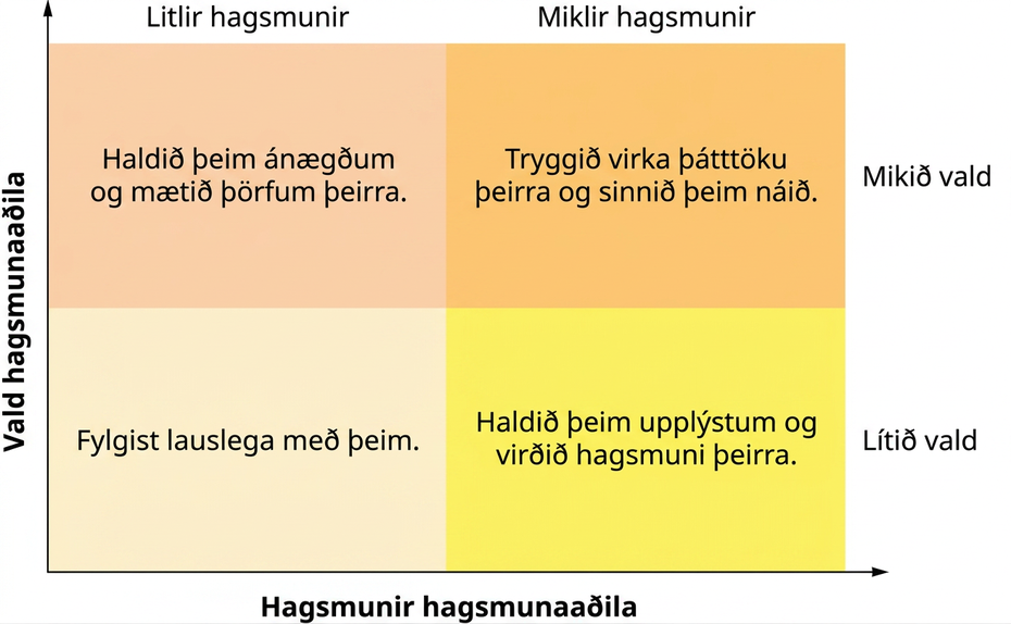 Myndin sýnir fylki yfir samband valds og hagsmuna hagsmunaaðila. Lóðrétti ásinn heitir „Vald hagsmunaaðila“ og lárétti ásinn „Hagsmunir hagsmunaaðila“. Myndflöturinn skiptist í fjóra jafna reiti, tvo dálka og tvær raðir. Fyrir ofan dálkana stendur frá vinstri „Litlir hagsmunir“ og „Miklir hagsmunir“ og hægra megin við raðirnar stendur ofan frá „Mikið vald“ og „Lítið vald“. Í reitnum þar sem litlir hagsmunir og mikið vald mætast stendur „Halda ánægðum, mæta þörfum“. Þar sem miklir hagsmunir og mikið vald mætast stendur „Tryggja þátttöku, stýra af kostgæfni“. Þar sem litlir hagsmunir og lítið vald mætast stendur „Fylgjast lauslega með“. Þar sem miklir hagsmunir og lítið vald mætast stendur „Halda upplýstum, virða hagsmuni“.