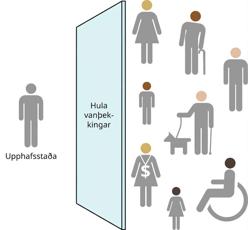 Myndin sýnir einfalda gráa mannsmynd merkta „upphafsstaða“. Hægra megin við hana er veggur merktur „hula vanþekkingar“. Hinum megin við vegginn eru átta ítarlegri mannsmyndir. Ein er með meðalljósan húðlit og klædd kjól, önnur er með meðaldökkan húðlit og heldur á staf, og sú þriðja er með ljósan húðlit. Fjórða mannsmyndin er með ljósan húðlit og þjónustuhund, sú fimmta með meðaldökkan húðlit og sú sjötta með meðalljósan húðlit og klædd kjól með dollaramerki. Sú sjöunda er með dökkan húðlit og klædd kjól, en sú áttunda er með dökkan húðlit og situr í hjólastól.
