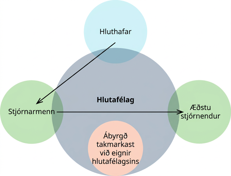 Skýringarmynd sýnir tengsl stjórnar hlutafélags við takmarkaða ábyrgð. Stór hringur í miðju er merktur „Hlutafélag“. Við vinstri brún hans skarast hringur merktur „Stjórnarmenn“, við efri brúnina hringur merktur „Hluthafar“ og við hægri brúnina hringur merktur „Stjórnendur“. Ör liggur frá hringnum „Hluthafar“ að hringnum „Stjórnarmenn“ og önnur frá „Stjórnarmönnum“ að „Stjórnendum“. Innan neðri brúnar hringsins „Hlutafélag“ er hringur merktur „Ábyrgð takmarkast við eignir hlutafélagsins“.