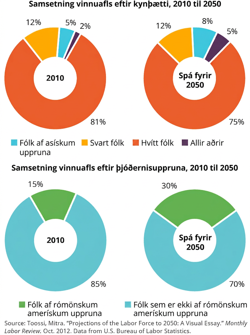 Myndin sýnir fjögur skífurit. Tvö bera heitið „Samsetning vinnuafls eftir kynþætti, 2010 til 2050“ og tvö „Samsetning vinnuafls eftir þjóðerni, 2010 til 2050“. Á ritunum um kynþáttasamsetningu sýnir vinstra ritið árið 2010: 81 prósent hvítt fólk, 12 prósent svart fólk, 5 prósent fólk af asískum uppruna og 2 prósent önnur. Hægra ritið sýnir spá fyrir 2050: 75 prósent hvítt fólk, 12 prósent svart fólk, 8 prósent fólk af asískum uppruna og 5 prósent önnur. Á ritunum um þjóðernissamsetningu sýnir vinstra ritið árið 2010: 85 prósent fólk sem er ekki af rómönskum amerískum uppruna og 15 prósent fólk af rómönskum amerískum uppruna. Hægra ritið sýnir spá fyrir 2050: 70 prósent fólk sem er ekki af rómönskum amerískum uppruna og 30 prósent fólk af rómönskum amerískum uppruna.