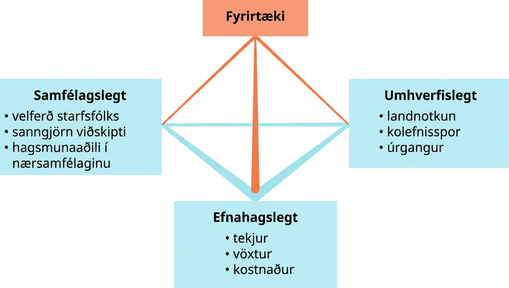 Myndin sýnir þrívíðan línupýramída í miðjunni. Efst á honum er reitur merktur „Fyrirtæki“. Við hvert þriggja neðri horna pýramídans er reitur. Ef byrjað er vinstra megin og farið rangsælis nefnist fyrsti reiturinn „Samfélagslegt“ og inniheldur þrjú atriði: „velferð starfsfólks“, „sanngjörn viðskipti“ og „hagsmunaaðili í samfélaginu“. Næsti reitur nefnist „Efnahagslegt“ og inniheldur „tekjur“, „vöxt“ og „kostnað“. Síðasti reiturinn nefnist „Umhverfislegt“ og inniheldur „landnotkun“, „kolefnisspor“ og „úrgang“.