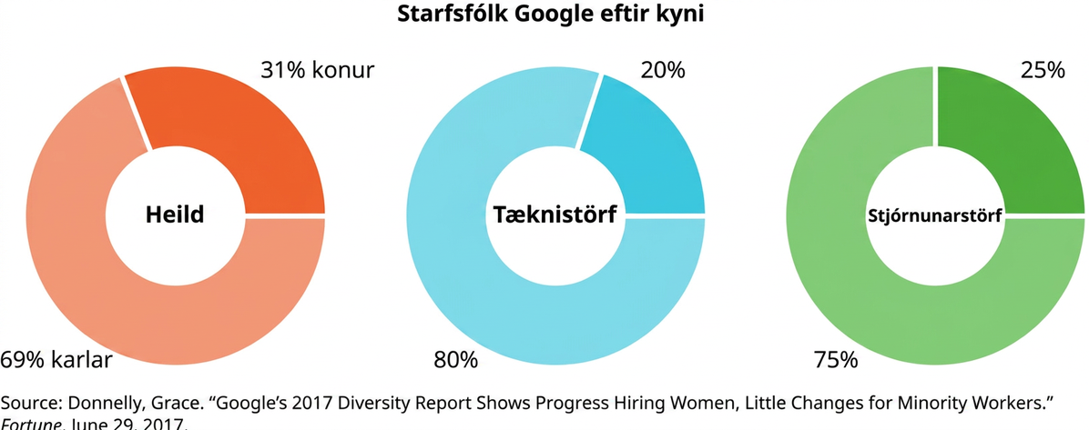 Myndin sýnir þrjú skífurit undir heitinu „Starfsfólk Google eftir kyni“. Vinstra ritið ber heitið „Heild“ og skiptist í 69 prósent karla og 31 prósent kvenna. Miðjuritið ber heitið „Tæknistörf“ og skiptist í 80 prósent karla og 20 prósent kvenna. Hægra ritið ber heitið „Stjórnunarstörf“ og skiptist í 75 prósent karla og 25 prósent kvenna.
