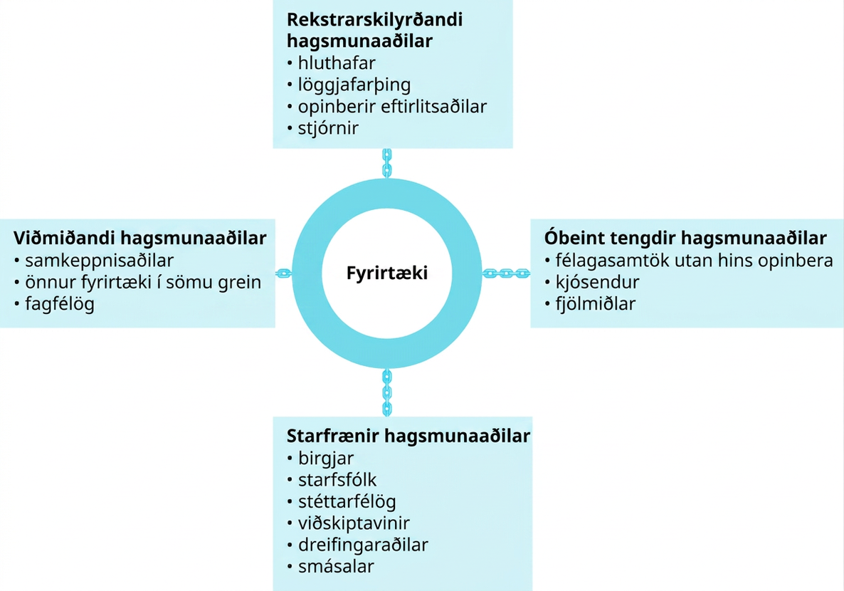 Myndin sýnir hring í miðjunni og fjóra reiti sem tengjast honum. Hringurinn ber yfirskriftina „Fyrirtæki“. Ef byrjað er á efsta reitnum stendur þar „Rekstrarskilyrðandi hagsmunaaðilar“ og undir eru fjögur atriði: „hluthafar“, „löggjafarþing“, „opinberir eftirlitsaðilar“ og „stjórnir“. Næsti reitur réttsælis nefnist „Óbeint tengdir hagsmunaaðilar“ og atriðin þrjú eru „félagasamtök utan hins opinbera“, „kjósendur“ og „fjölmiðlar“. Þar á eftir kemur reiturinn „Starfrænir hagsmunaaðilar“ með sex atriðum: „birgjar“, „starfsfólk“, „stéttarfélög“, „viðskiptavinir“, „dreifingaraðilar“ og „smásalar“. Síðasti reiturinn nefnist „Viðmiðandi hagsmunaaðilar“ og atriðin þrjú eru „samkeppnisaðilar“, „önnur fyrirtæki í sömu grein“ og „fagfélög“.