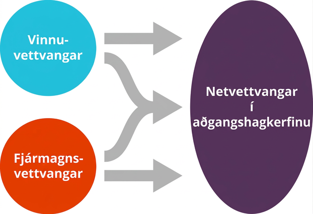 Myndin sýnir tvo hringi, annan ofan við hinn, vinstra megin og plúsmerki á milli þeirra. Í efri hringnum stendur „vinnuvettvangar“ og í hinum neðri „fjármagnsvettvangar“. Hægra megin vísar ör að þriðja hringnum, sem er merktur „netvettvangar í aðgangshagkerfinu“.