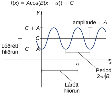 Mynd af grafi. Grafið sýnir fallið „f(x) = Acos(B(x - alpha)) + C“. Á y-ásnum eru 3 kvarðastrik: talið neðan frá og upp eru strikin við gildin „C - A“, „C“ og „C + A“. Fjarlægðin frá upphafspunktinum að „C“ er merkt „lóðrétt hliðrun“. Fjarlægðin frá „C - A“ að „A“ og fjarlægðin frá „A“ að „C + A“ er „A“ og er merkt „útslag“. Á x-ásnum er kvarðastrik við gildið „alpha“ og fjarlægðin milli upphafspunktsins og „alpha“ er merkt „lárétt hliðrun“. Fjarlægðin milli tveggja samliggjandi lággilda fallsins (það er milli tveggja aðliggjandi lægstu punkta bylgjunnar) er „(2 pí)/(algildi B)“ og er merkt lotan. Lotan er einnig fjarlægðin milli tveggja samliggjandi hágilda fallsins.