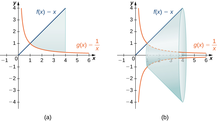 Á þessari mynd eru tvö gröf. Fyrsta grafið er merkt „a“ og sýnir ferlana tvo f(x)=x og g(x)=1/x. Þeir eru aðeins sýndir í fyrsta fjórðungi. f(x) er skálína sem hefst í upphafspunktinum og g(x) er minnkandi ferill með y-ásinn sem lóðrétta aðfellu og x-ásinn sem lárétta aðfellu. Gröfin skerast í (1,1). Milli grafanna er skyggt svæði sem afmarkast til hægri af línu við x=4. Annað grafið sýnir sömu tvo ferla. Þar sést snúður sem myndast þegar skyggða svæðinu af fyrsta grafinu er snúið um x-ásinn.