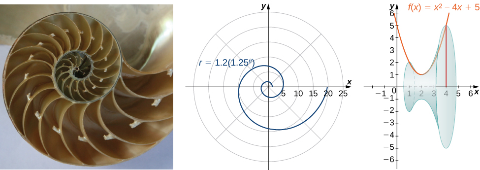 Skel perlusnekkju, graf af lógaritmískum spíral (r = 1.2(1.25^θ)) í pólhnitum og skyggð þrívíddarmynd af flatarmálinu undir grafi annars stigs fallsins f(x) = x^2 - 4x + 5.