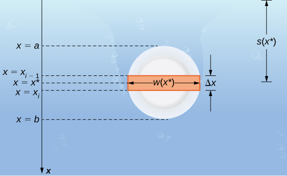 Myndin sýnir hringlaga plötu á kafi, séða ofan frá. x-ásinn er við hlið plötunnar. Þvermál plötunnar nær frá x=a til x=b. Í miðri plötunni er ræma með þykktina delta x. Á ásnum hefst þessi þykkt við x=xsub(i-1) og endar við x=xsubi. Lengd ræmunnar í plötunni er merkt w(csubi).
