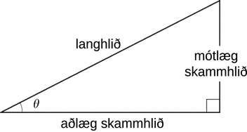 Myndin sýnir rétthyrndan þríhyrning. Lengsta hliðin er merkt hyp, styttri skammhliðin, sem liggur á móti horninu, er merkt opp og lengri skammhliðin, sem liggur að horninu, er merkt adj. Hornið milli langhliðarinnar og aðlægu skammhliðarinnar er táknað með θ.