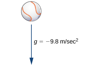 Myndin sýnir hafnabolta með ör fyrir neðan sem vísar niður. Örin er merkt g = −9,8 m/s².