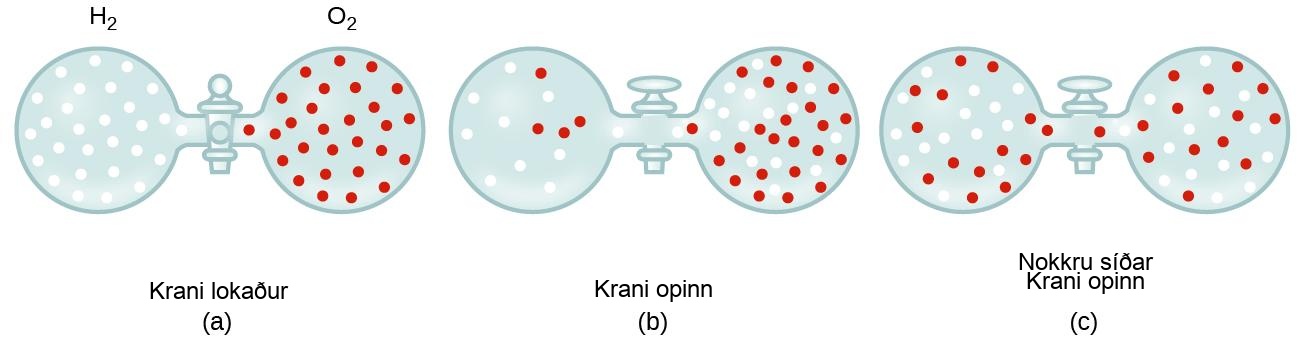 Á þessari mynd eru sýnd þrjú pör af gasfylltum kúlum eða ílátum sem eru tengd saman með krana á milli sín. Í a er myndin merkt „Krani lokaður“. Fyrir ofan er vinstri kúlan merkt „H með lágvísi 2“. Hún inniheldur um það bil 30 litla, hvíta, jafndreifða hringi. Kúlan til hægri er merkt „O með lágvísi 2“. Hún inniheldur um það bil 30 litla, rauða, jafndreifða hringi. Í b er myndin merkt „Krani opinn“. Handfang kranans er nú samsíða rörinu sem tengir kúlurnar tvær. Vinstra megin eru um það bil 9 litlir, hvítir hringir og 4 litlir, rauðir hringir, þar sem rauðu kúlurnar virðast aðeins nær krananum. Hægra megin eru um það bil 25 litlar, rauðar kúlur og 21 litlar, hvítar kúlur, þar sem styrkur hvítu kúlanna er aðeins meiri nálægt krananum. Í c er myndin merkt „Nokkru eftir að krani er opnaður“. Í þessari stöðu virðast rauðu og hvítu kúlurnar jafn blandaðar og jafnt dreifðar um báðar kúlurnar.