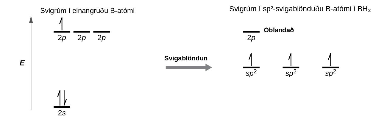 Sýnd er skýringarmynd í tveimur hlutum, tengd með ör sem vísar til hægri og er merkt „Svigrúmablöndun.“ Vinstri myndin sýnir ör sem vísar upp og er merkt „E.“ Neðst til hægri við örina er stutt, lárétt lína merkt „2 s,“ sem hefur tvær lóðréttar hálförvar sem vísa upp og niður á henni. Efst til hægri við örina er röð þriggja stuttra, láréttra lína merktar „2 p.“ Fyrir ofan bæði settin af þessum línum er setningin „Svigrúm í einangraðri B-frumeind.“ Ein línan hefur lóðrétta ör sem vísar upp á henni. Hægri hlið myndarinnar sýnir þrjár stuttar, láréttar línur sem eru staðsettar miðsvæðis og hver er merkt „sp 2.“ Hálför sem vísar upp er teiknuð lóðrétt á hverja línu. Fyrir ofan þessar línur er ein önnur stutt, lárétt lína, merkt „2 p.“ Fyrir ofan bæði settin af línum er setningin „Svigrúm í sp 2-blandaðri B-frumeind í BH 3.“