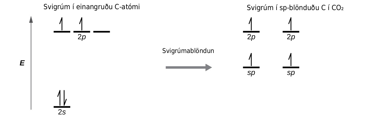 A diagram is shown in two parts, connected by a right facing arrow labeled, “Hybridization.” The left diagram shows an up-facing arrow labeled, “E.” To the lower right of the arrow is a short, horizontal line labeled, “2 s,” that has two vertical half-arrows facing up and down on it. To the upper right of the arrow are a series of three short, horizontal lines labeled, “2 p.” Above both sets of lines is the phrase, “Orbitals in an isolated C atom.” There are two upward facing arrows on two of these lines. The right side of the diagram shows two short, horizontal lines placed halfway up the space and each labeled, “s p.” An upward-facing half arrow is drawn vertically on each line. Above these lines are two other short, horizontal lines, each labeled, “2 p,” and which have two upward facing arrows on them. Above both sets of lines is the phrase, “Orbitals in the s p hybridized C in C O subscript 2.”