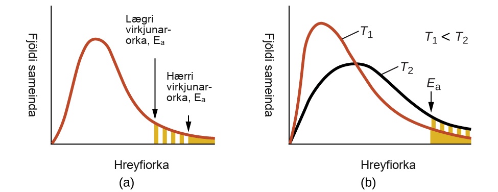 Sýnd eru tvö línurit þar sem x-ásinn er merktur „Hreyfiorka“ og y-ásinn „Hlutfall sameinda“. Bæði innihalda jákvætt skakkan feril, merktan með rauðu, sem byrjar í upphafspunkti og nálgast x-ásinn hægra megin á línuritinu. Á a-myndinni er lítið svæði undir lengsta hægri enda ferilsins skyggt appelsínugult. Ör bendir niður fyrir ofan ferilinn á vinstri enda þessa svæðis þar sem skyggingin byrjar. Þessi ör er merkt: „Hærri virkjunarorka, E með lágvísinum a“. Á b-myndinni birtist sami rauði ferillinn og annar ferill er teiknaður með svörtu. Hann er einnig jákvætt skakkur en nær lægra hámarksgildi og virðist breiðari miðað við rauða ferilinn. Á þessu línuriti er rauði ferillinn merktur „T með lágvísinum 1“ og svarti ferillinn er merktur „T með lágvísinum 2“. Í opna rýminu efst til hægri á línuritinu er merkingin „T með lágvísinum 1 minna en T með lágvísinum 2“. Eins og á fyrra línuritinu er svæðið undir ferlunum lengst til hægri skyggt appelsínugult og ör sem vísar niður, merkt „E með lágvísinum a“, bendir á vinstri enda þessa skyggða svæðis.