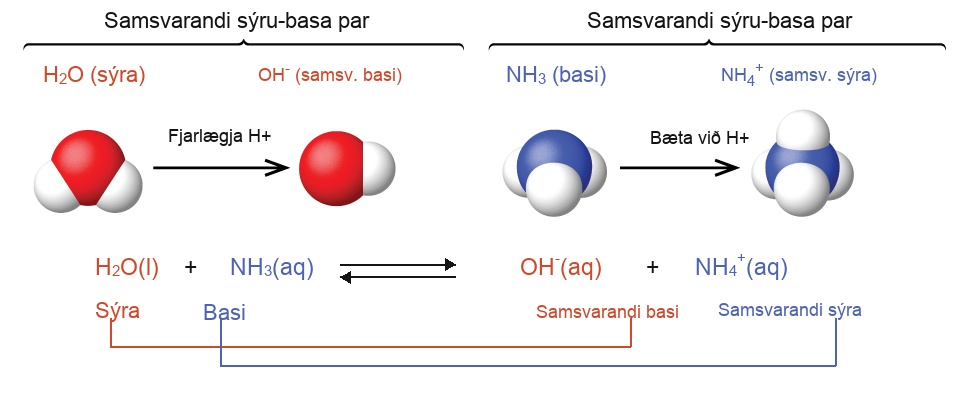 This figure has two rows. In both rows, a chemical reaction is shown. In the first, structural formulas are provided. In this model, in red, an H atom is connected to an F atom with a single bond. The F atom has pairs of electron dots at the top, right, and bottom. This is followed by a plus sign, which is followed in blue by an O atom which has H atoms singly bonded above and to the right. The O atom has pairs of electron dots on its left and lower sides. A double arrow follows. To the right, in brackets is a structure with a central O atom in blue, with blue H atoms singly bonded above and to the right. A pair of blue electron dots is on the lower side of the O atom. To the left of the blue O atom, a red H atom is singly bonded. This is followed by a plus sign and an F atom in red with pairs of electron dots above, right, below, and to the left. This atom also has a superscript negative sign. The reaction is written in symbolic form below. H F is labeled in red below as “Acid.” This is followed by plus H subscript 2 O, which is labeled in blue below as “Base.” A double sided arrow follows. To the right is H subscript 3 O superscript plus, which is labeled in blue below as “Acid.” This is followed by plus and F superscript negative. The label below in red reads, “Base.”