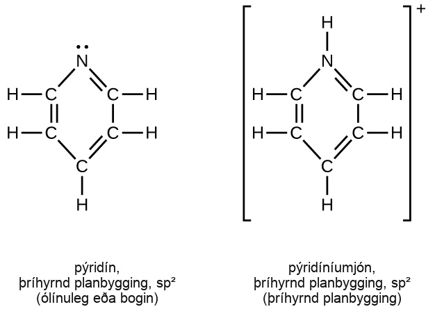 Two structures are shown, one for pyridine, which is trigonal planar and is labeled s p superscript 2. The second is for the pyridium ion, which is also trigonal planar and is labeled s p superscript 2. Both structures include a hexagonal ring composed of 5 C atoms and 1 N atom which is shown at the top of each structure. In both rings, double bonds alternate and single H atoms extend outward from each C atom. The only structural difference between the two structures involves the unshared electron pair on the N atom in pyridine. This is replaced by a bonded H atom in the pyridium ion which is represented in brackets with a superscript plus symbol outside the brackets.