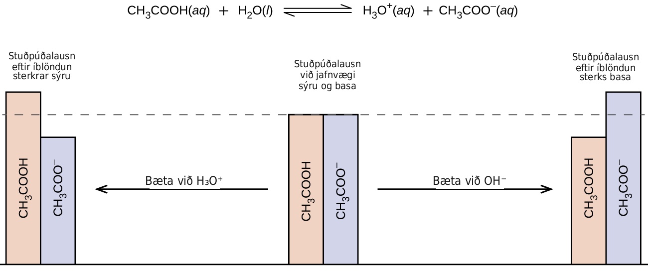 Þessi mynd hefst á efnahvarfi efst: C H lágvísir 3 C O O H ( a q ) plús H lágvísir 2 O ( l ) jafnvægisör H lágvísir 3 O hávísir plúsmerki ( a q ) plús C H lágvísir 3 C O O hávísir mínusmerki ( a q ). Fyrir neðan textann er mynd sem líkist stöplariti. Í miðjunni eru tveir jafnháir stöplar. Annar er merktur „C H lágvísir 3 C O O H“ og hinn er merktur „C H lágvísir 3 C O O hávísir mínusmerki.“ Þar er punktalína í sömu hæð og stöplarnir sem nær til vinstri og hægri. Fyrir ofan þessa tvo stöpla er setningin: „Stuðpúðalausn með jafnmólstyrk sýru og basa.“ Þar er ör sem bendir til hægri og er merkt: „Bæta við O H hávísir mínusmerki.“ Örin bendir aftur á tvo stöpla, en í þetta sinn er C H lágvísir 3 C O O H stöpullinn styttri en C H lágvísir 3 C O O hávísir mínusmerki stöpullinn. Fyrir ofan þessa tvo stöpla er setningin: „Stuðpúðalausn eftir viðbót sterks basa.“ Frá miðjustöplunum er aftur ör sem bendir til vinstri. Örin er merkt: „Bæta við H lágvísir 3 O hávísir plúsmerki.“ Þessi ör bendir aftur á tvo stöpla, en í þetta sinn er C H lágvísir 3 C O O H stöpullinn hærri en C H lágvísir 3 C O O hávísir mínusmerki stöpullinn. Þessir tveir stöplar eru merktir: „Stuðpúðalausn eftir viðbót sterkrar sýru.“