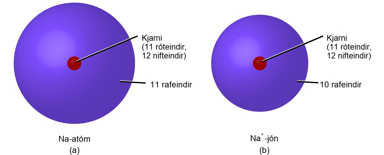 Mynd A sýnir natríumfrumeind, N a, sem hefur kjarna með 11 róteindum og 12 nifteindum. Rafeindaskýið umhverfis frumeindina inniheldur 11 rafeindir. Mynd B sýnir natríumjón, N a með plúsmerki í hávísi. Kjarni hennar inniheldur 11 róteindir og 12 nifteindir. Rafeindaský jónarinnar inniheldur 10 rafeindir og er minna en rafeindaský natríumfrumeindarinnar á mynd A.