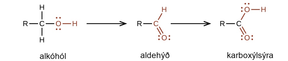 A chemical reaction with two arrows is shown. On the left, an alcohol, indicated with a C atom to which an R group is bonded to the left, H atoms are bonded above and below, and in red, a single bonded O atom with an H atom bonded to the right is shown. Following the first reaction arrow, an aldehyde is shown. This structure is represented with an R group bonded to a red C atom to which an H atom is bonded above and to the right, and an O atom is double bonded below and to the right. Appearing to the right of the second arrow, is a carboxylic acid comprised of an R group bonded to a C atom to which, in red, an O atom is single bonded with an H atom bonded to its right side. A red O is double bonded below and to the right. All O atoms have two pairs of electron dots.
