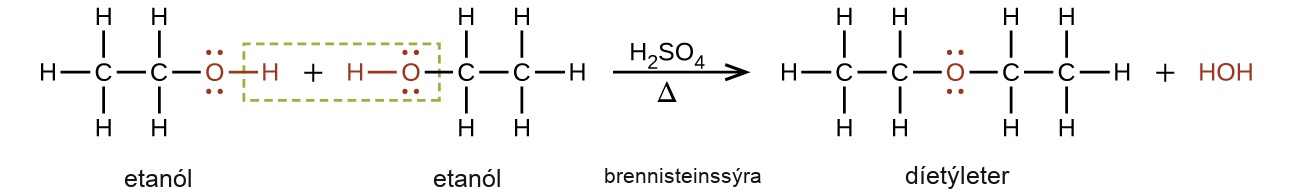This figure shows a reaction. The first molecule, which is labeled, “ethanol,” is a two C atom chain. The first C atom is bonded to three H atoms and a second C atom. The second C atom is bonded to a red O atom with two sets of electron dots. The O atom has a red bond to a red H atom. There is a plus sign. The next molecule, which is labeled, “ethanol,” is a red H atom with a red bond to a red O atom with two pairs of electron dots. The O atom is bonded to a C atom which is bonded to two H atoms and a second C atom. The second C atom is bonded to three H atoms. There is a green dotted box around the red H atom in the first molecule, the plus sign, and the red H and O atoms in the second molecule. To the right o the second molecule there is an arrow labeled H subscript 2 S O subscript 4 above and Greek capital delta below. The arrow is labeled, “sulfuric acid.” The resulting molecules are a C atom bonded with three H atoms and a second C atom. The second C atom is bonded to two H atoms and a red O atom. The red O atom has two sets of electron dots. The O atom is bonded to a third C atom which is bonded to two H atoms and a fourth C atom. The fourth C atom is bonded to three H atoms. This molecule is labeled, “diethyl ether.” There is a plus sign and a red H O H.