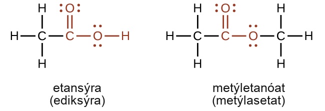 Two structures are shown. The first structure is labeled, “ethanoic acid,” and, “acetic acid.” This structure indicates a C atom to which H atoms are bonded above, below and to the left. To the right of this in red is a bonded group comprised of a C atom to which an O atom is double bonded above. To the right of the red C atom, an O atom is bonded which has an H atom bonded to its right. Both O atoms have two sets of electron dots. The second structure is labeled, “methyl ethanoate,” and, “methyl acetate.” This structure indicates a C atom to which H atoms are bonded above, below and to the left. In red, bonded to the right is a C atom with a double bonded O atom above and a single bonded O atom to the right. To the right of this last O atom in black is another C atom to which H atoms are bonded above, below and to the right. Both O atoms have two pairs of electron dots.