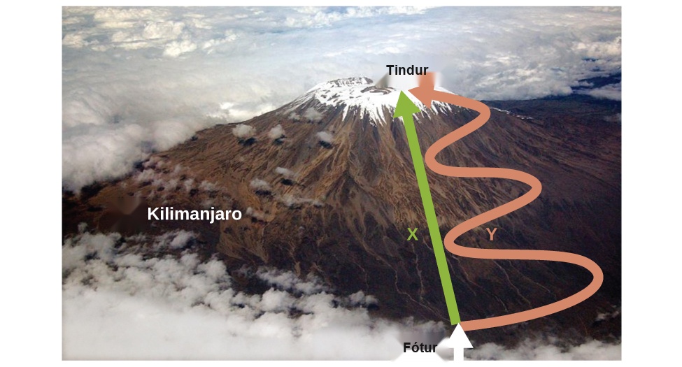 Loftmynd sýnir Kilimanjaro-fjall. Bein, græn ör merkt X er dregin frá orðinu „rót“, sem skrifað er við rætur fjallsins, að orðinu „Tindur“, sem skrifað er á topp fjallsins. Önnur ör merkt Y er dregin frá rótinni að tindinum við hlið grænu örvarinnar, en þessi ör er bleik og hefur þrjár stórar S-laga sveigjur eftir endilangri leiðinni.