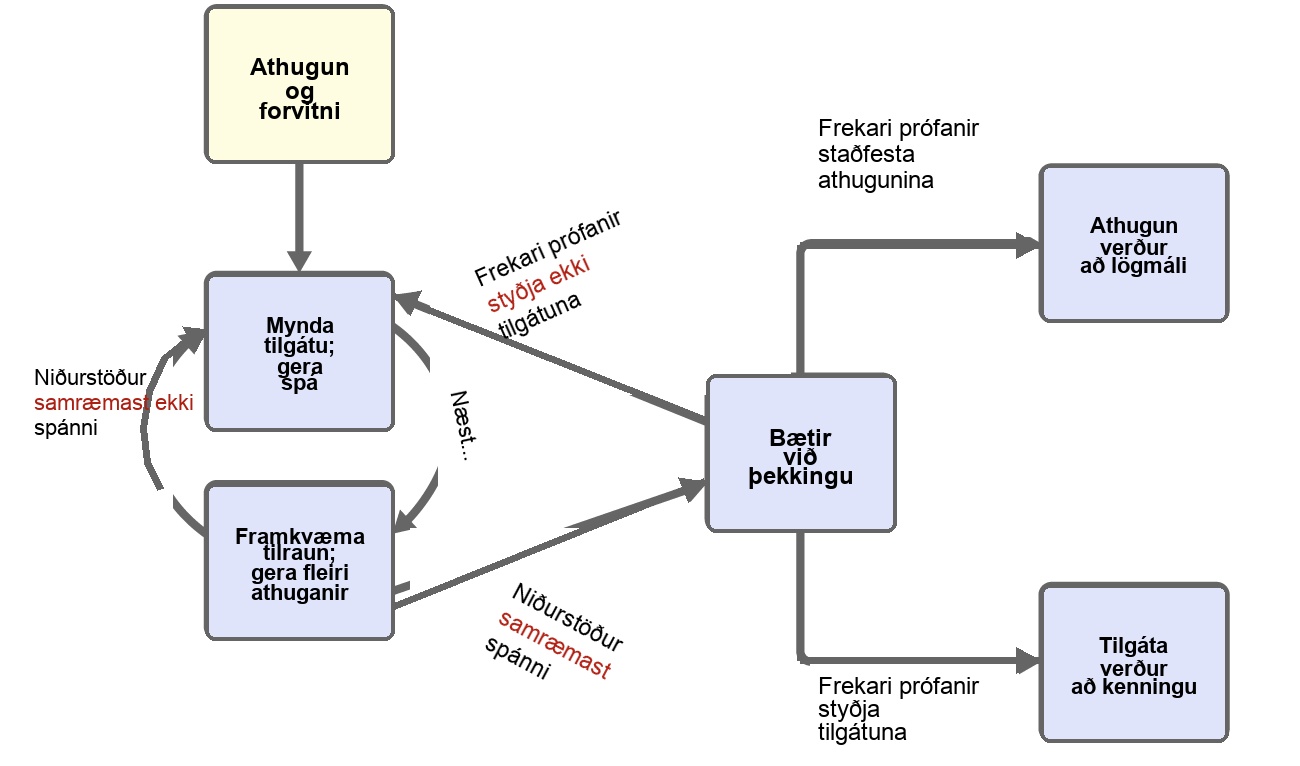 Á þessu flæðiriti er ör sem liggur frá reitnum fyrir athugun og forvitni að reit sem merktur er „mynda tilgátu; gera spá“. Bogadregin ör merkt „næst“ tengir þennan reit við reit sem merktur er „framkvæma tilraun; gera fleiri athuganir“. Önnur ör bendir aftur á reitinn sem segir „mynda tilgátu; gera spá“. Þessi ör er merkt „niðurstöður eru ekki í samræmi við spá“. Önnur ör, merkt „niðurstöður eru í samræmi við spá“, bendir frá tilraunareitnum á reit sem merktur er „stuðlar að þekkingargrunninum“. Hins vegar bendir einnig ör frá „stuðlar að þekkingargrunninum“ aftur á reitinn „mynda tilgátu; gera spá“. Þessi ör er merkt „frekari prófanir styðja ekki tilgátuna“. Það eru einnig tvær aðrar örvar sem liggja út frá „stuðlar að þekkingargrunninum“. Önnur örin er merkt „miklar viðbótarprófanir gefa stöðugar athuganir“. Hún liggur að reitnum „athugun verður að lögmáli“. Hin örin er merkt „miklar viðbótarprófanir styðja tilgátuna“. Sú ör liggur að reitnum „tilgáta verður að kenningu“.