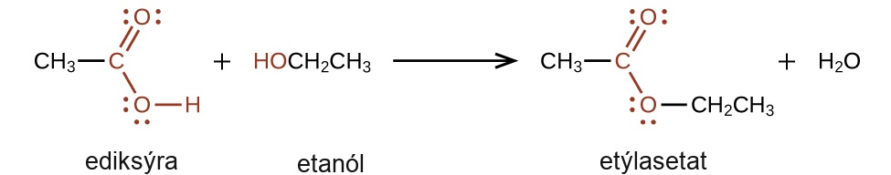 A chemical reaction is shown. On the left, a C H subscript 3 group bonded to a red C atom. The C atom forms a double bond with an O atom which is also in red. The C atom is also bonded to an O atom which is bonded to an H atom, also in red. A plus sign is shown, which is followed by H O C H subscript 2 C H subscript 3. The H O group is in red. Following a reaction arrow, a C H subscript 3 group is shown which is bonded to a red C atom with a double bonded O atom and a single bonded O. To the right of this single bonded O atom, a C H subscript 2 C H subscript 3 group is attached and shown in black. This structure is followed by a plus sign and H subscript 2 O. The O atoms in the first structure on the left and the structure following the reaction arrow have two pairs of electron dots.