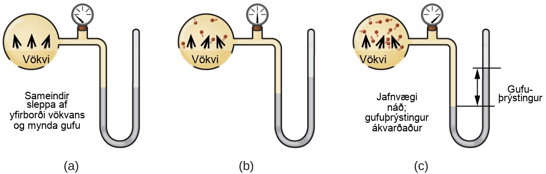 Þrjár myndir eru sýndar og merktar „a“, „b“ og „c“. Hver mynd sýnir kúlu sem er tengd hægra megin við rör sem er lárétt, beygist síðan lóðrétt, sveigist og er síðan aftur lóðrétt til að mynda u-lögun. Loki er staðsettur í lárétta hluta rörsins. Mynd a sýnir vökva í kúlunni, merktan „Vökvi“, og örvar sem vísa upp á við frá yfirborði vökvans. Setningin „Sameindir sleppa frá yfirborðinu og mynda gufu“ er skrifuð undir kúlunni og grár vökvi í u-laga hluta rörsins er sýndur í sömu hæð hægra og vinstra megin. Mynd b sýnir vökva í kúlunni, merktan „Vökvi“, og örvar sem vísa upp á við frá yfirborði vökvans að sameindum sem teiknaðar eru í efri hluta kúlunnar. Grár vökvi í u-laga hluta rörsins er sýndur aðeins hærra hægra megin en vinstra megin. Mynd c sýnir vökva í kúlunni, merktan „Vökvi“, og örvar sem vísa upp á við frá yfirborði vökvans að sameindum sem teiknaðar eru í efri hluta kúlunnar. Það eru fleiri sameindir til staðar í c en í b. Setningin „Jafnvægi náð, gufuþrýstingur ákvarðaður“ er skrifuð undir kúlunni og grár vökvi í u-laga hluta rörsins er sýndur hærra hægra megin. Lárétt lína er dregin til jafns við hvort þessara vökvaborða og fjarlægðin milli línanna er merkt með tvíhöfða ör. Þessi hluti er merktur með orðunum „Gufuþrýstingur“.
