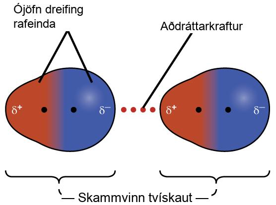 Sýnd eru tvö pör sameinda þar sem hver sameind hefur stærri bláa hlið merkta „delta-merki, mínusmerki“ og minni rauða hlið merkta „delta-merki, plúsmerki“. Nærri miðju beggja sameinda, en þó hvorri á sinni hlið, er svartur punktur. Á milli myndanna tveggja er punktalína merkt „Aðdráttarkraftur“. Á fyrri myndinni eru rauðu og bláu hliðarnar merktar „Ójöfn dreifing rafeinda“. Fyrir neðan báðar myndirnar eru svigar. Svigarnir eru merktir „Tímabundin tvískaut“.