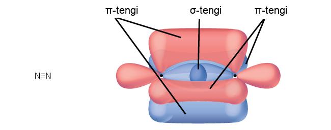 Two nitrogen atoms are shown both in a Lewis structure and as a diagram. The Lewis structure depicts the two nitrogen atoms bonded by a triple bond. The diagram shows two nitrogen atoms and their three peanut-shaped p-orbitals. One of the orbitals lies horizontally and overlaps between the two nuclei. It is labeled, “sigma bond.” The other two lie vertically and in the z-plane of the page. They overlap above and below and into and out of the page in relation to the nuclei. They are each labeled, “pi bond.”
