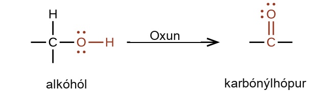 A reaction is shown. On the left appears an alcohol and on the right, a carbonyl group. Above the reaction arrow appears the word “oxidation.” The alcohol is represented as a C atom with dashes to the left and below, an H atom bonded above, and an O atom bonded to an H atom in red connected to the right. The O atom has two sets of electron dots. The carbonyl group is indicated in red with a C atom to which an O atom is double bonded above. Dashes appear left and right of the C atom in black. The O atom has two sets of electron dots.