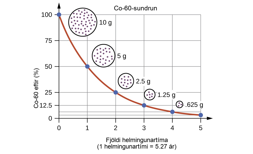 Sýnt er línurit með titlinum „C o bandstrik 60 hrörnun“, þar sem x-ásinn er merktur „C o bandstrik 60 eftir, opinn svigi, prósentumerki, lokaður svigi“ og hefur gildi frá 0 til 100 með skrefastærðinni 25. Y-ásinn er merktur „Fjöldi helmingunartíma“ og hefur gildi frá 0 til 5 með skrefastærðinni 1. Fyrsti punkturinn, við „0, 100“, hefur hring fylltan með smáum punktum teiknaðan nálægt sér sem er merktur „10 g.“ Annar punkturinn, við „1, 50“, hefur minni hring fylltan með smáum punktum teiknaðan nálægt sér sem er merktur „5 g.“ Þriðji punkturinn, við „2, 25“, hefur lítinn hring fylltan með smáum punktum teiknaðan nálægt sér sem er merktur „2.5 g.“ Fjórði punkturinn, við „3, 12.5“, hefur mjög lítinn hring fylltan með smáum punktum teiknaðan nálægt sér sem er merktur „1.25 g.“ Síðasti punkturinn, við „4, 6.35“, hefur örsmáan hring fylltan með smáum punktum teiknaðan nálægt sér sem er merktur „625 g.“