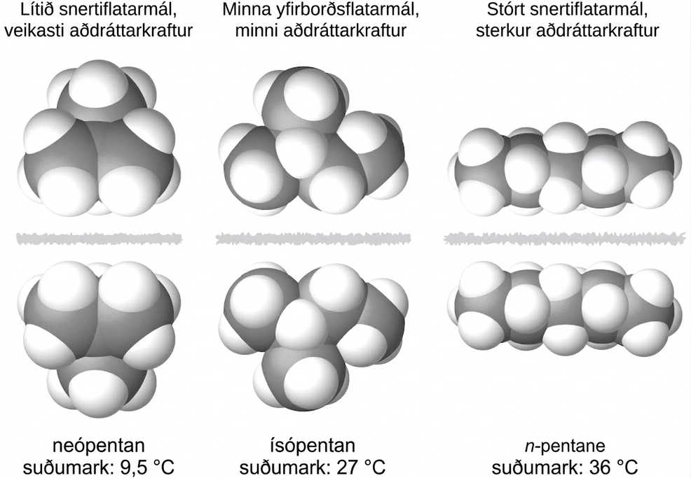 Þrjár myndir af sameindum eru sýndar. Sú fyrsta sýnir klasa af stórum, gráum kúlum sem tengjast hver annarri og nokkrum minni, hvítum kúlum. Þar er grá, tennt lína og síðan er spegilmynd af fyrsta kúlulasanum sýnd. Fyrir ofan þessa tvo klasa er merkingin „Lítið snertiflatarmál, veikasta aðdráttaraflið“ og fyrir neðan er merkingin „suðumark neópentans: 9,5 gráður C.“ Önnur myndin sýnir keðju af þremur gráum kúlum þar sem miðkúlan tengist fjórðu gráu kúlunni. Hver grá kúla tengist nokkrum minni, hvítum kúlum. Þar er tennt, grá lína og síðan birtist spegilmynd af fyrstu keðjunni. Fyrir ofan þessar tvær keðjur er merkingin „Minna yfirborðsflatarmál, minna aðdráttarafl“ og fyrir neðan er merkingin „suðumark ísópentans: 27 gráður C.“ Þriðja myndin sýnir keðju af fimm gráum kúlum sem tengjast saman og við nokkrar minni, hvítar kúlur. Þar er tennt grá lína og síðan birtist spegilmynd af fyrstu keðjunni. Fyrir ofan þessar keðjur er merkingin „Mikið snertiflatarmál, sterkt aðdráttarafl“ og fyrir neðan er merkingin „suðumark n-pentans 36 gráður C.“