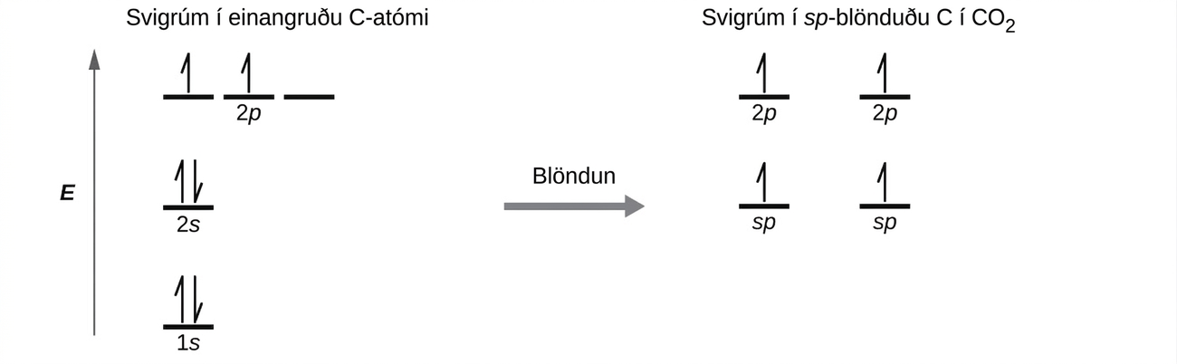 Skýringarmynd er sýnd í tveimur hlutum, tengdum með ör sem vísar til hægri og er merkt „Svigrúmablöndun“. Vinstri myndin sýnir ör sem vísar upp og er merkt „E“. Neðst til hægri við örina er stutt, lárétt lína merkt „2 s“, sem hefur tvær lóðréttar hálf-örvar sem vísa upp og niður. Efst til hægri við örina er röð þriggja stuttra, láréttra lína merktar „2 p“. Fyrir ofan bæði línusettin er setningin „Svigrúm í einangruðu C-atómi“. Það eru tvær örvar sem vísa upp á tveimur þessara lína. Hægri hlið myndarinnar sýnir tvær stuttar, láréttar línur staðsettar miðsvæðis og hvor um sig merkt „s p“. Hálf-ör sem vísar upp er teiknuð lóðrétt á hvora línu. Fyrir ofan þessar línur eru tvær aðrar stuttar, láréttar línur, hvor um sig merkt „2 p“, og sem hafa tvær örvar sem vísa upp á sér. Fyrir ofan bæði línusettin er setningin „Svigrúm í sp-blönduðu C-atómi í CO₂“.
