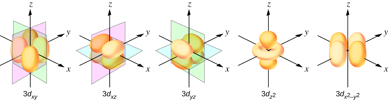 This figure includes diagrams of five d orbitals. Each diagram includes three axes. The z-axis is vertical and is denoted with an upward pointing arrow. It is labeled “z” in the first diagram. Arrows similarly identify the x-axis with an arrow pointing from the rear left to the right front, diagonally across the figure and the y-axis with an arrow pointing from the left front diagonally across the figure to the right rear of the diagram. These axes are similarly labeled as “x” and “y.” The first through third diagrams show four orange balloon-like shapes. These diagrams differ however in the orientation of the shapes along the axes and the x-, y-, and z-axis labels have each been replaced with the letter L. Planes are added to the figures to help show the orientation differences with these diagrams. In the first diagram, a green plane is oriented vertically through the length of the x-axis and a blue plane is oriented horizontally through the length of the y-axis. The balloon shapes extend from the origin to the spaces between the positive z- and negative y- axes, positive z- and positive y- axes, negative z- and negative y- axes, and negative z- and positive y- axes. This diagram is labeled, “3 d subscript ( y z ).” In the second diagram, a green plane is oriented vertically through the x- and y- axes and a blue plane is oriented horizontally through the length of the x-axis. The balloon shapes extend from the origin to the spaces between the positive z- and negative x- axes, positive z- and positive x- axes, negative z- and negative x- axes, and negative z- and positive x- axes. This diagram is labeled “3 d subscript ( x z ).” In the third diagram, a pink plane is oriented vertically through the length of the y-axis and a green plane is oriented vertically through the length of the x-axis. The balloon shapes extend from the origin to the spaces between the positive x- and negative y- axes, positive x- and positive y- axes, negative x- and negative y- axes, and negative x- and positive y- axes. This diagram is labeled, “3 d subscript ( x y ).” The fourth diagram has a pair of the orange balloon-like shapes are present and extend from the origin above and below along the vertical axis. An orange toroidal or donut shape is positioned around the origin, oriented through the x- and y- axes. This shape extends out to about a third of the length of the positive and negative regions of the x- and y- axes. This diagram is labeled, “3 d subscript ( z superscript 2 ).” In the fifth diagram, four orange balloon-like shapes extend from a point at the origin out along the x- and y- axes in positive and negative directions covering just over half the length of the positive and negative x- and y- axes. Beneath the diagram is the label, “3 d subscript ( x superscript 2 minus y superscript 2 ).”
