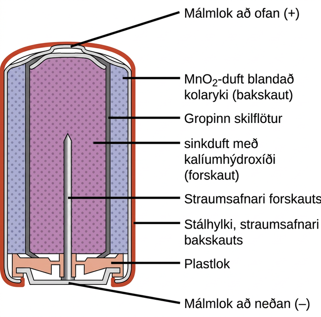 Sýnd er skýringarmynd af þversniði alkalírafhlöðu. Heildarlögun rafhlöðunnar er sívöl. Hliðarflötur sívalningsins, sem sýndur er sem þunn rauð lína, er merktur „Ytri skel“. Rétt undir henni er þunnur, ljósgrár flötur sem þekur hliðarflöt og topp rafhlöðunnar. Innan við er blátt svæði með mörgum litlum, dekkri punktum með jöfnu millibili, merkt „M n O lágvísir 2 (bakskaut)“. Þunn grá rönd er rétt innan við, sem er merkt „Jónaleiðandi skilja“. Fjólublátt svæði með mörgum litlum, dekkri punktum með jöfnu millibili fyllir miðju rafhlöðunnar og er merkt „sink (forskaut)“. Efst á rafhlöðunni er þunnur, grár, sveigður flötur yfir fjólubláa svæðinu í miðjunni. Sveigði flöturinn fyrir ofan er merktur „Jákvæð tenging (plús)“. Á botni rafhlöðunnar er appelsínugul bygging, merkt „Hlífðarhetta“, staðsett undir fjólubláa og bláa miðsvæðinu. Þessi bygging heldur grárri byggingu sem lítur út eins og nagli með hausinn neðst og oddinn sem vísar upp í miðju rafhlöðunnar. Þessi naglalíka bygging er merkt „Straumtaki“. Neðst á rafhlöðunni er þunnur grár flötur sem hlífðarhettan heldur. Þessi flötur er merktur „Mínusskaut (mínus)“.